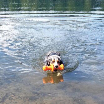 Nobby hračka pes Bójka Robbi TRP 25 cm