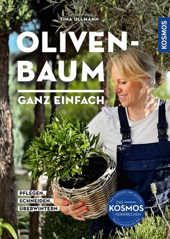 Olivenbaum ganz einfach