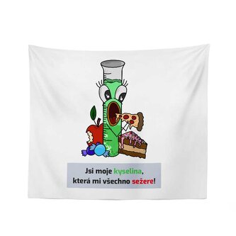 Deka Jsi moje kyselina: 150x120 cm Deka Jsi moje kyselina: 150x120 cm