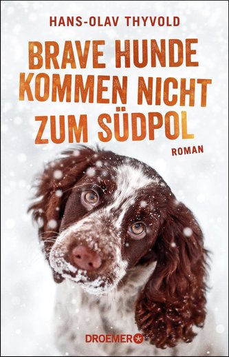 Brave Hunde kommen nicht zum Südpol