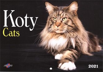 Kalendarz 2021 KA-1 Koty AVANTI