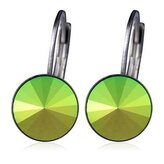NBS08-SG Ocelové náušnice s krystaly Swarovski® SCARABEUS GREEN