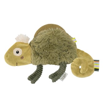 Chrastítko chameleon, Crazy