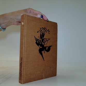 Chlapec ze starého lesa