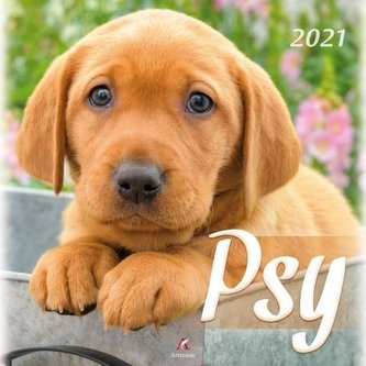 Kalendarz 2021 Ścienny Psy ARTSEZON