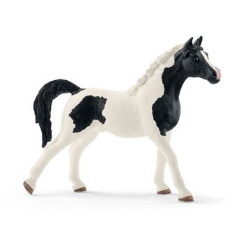 Ogier rasy Pintabian