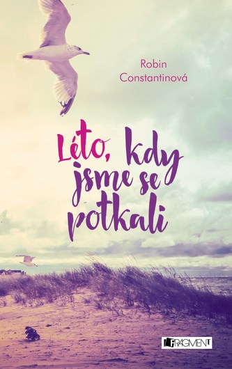 Léto, kdy jsme se potkali (Robin Constantine, 2016)