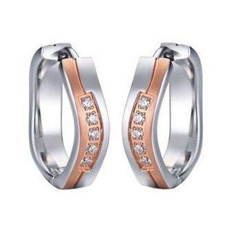 AN0003 Ocelové náušnice se zirkony