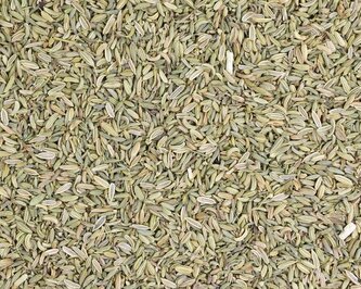 Bylinný čaj Fenykl plod - celý (Foeniculi) 200 g