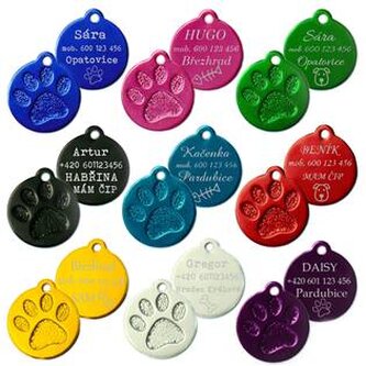 PZ005-G Hliníková psí známka tlapka velká - zelená