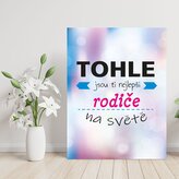 Dárková cedulka Tohle jsou ti nejlepší rodiče na světě: 30x40 cm