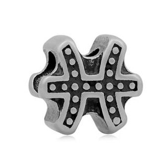 K0012-03 Navlékací ocelový přívěšek korálek - znamení ryby - znamení zvěrokruhu