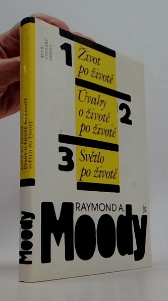 1 život po životě 2 úvahy o životě po životě 3 světlo po životě