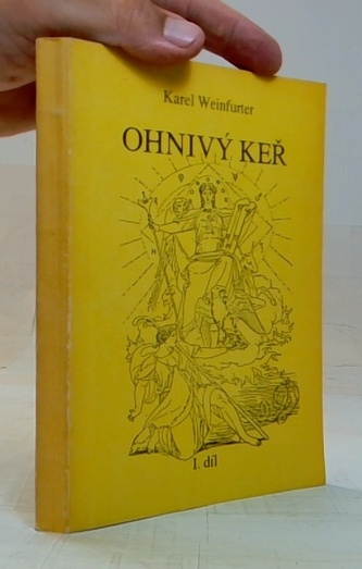 Ohnivý keř