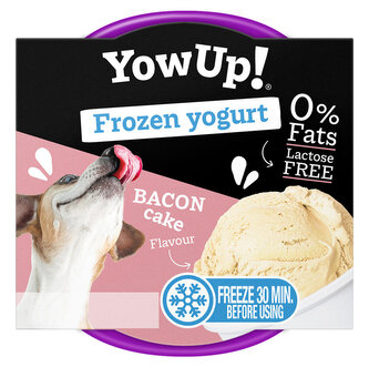 YOWUP Frozen Yoghurt - zmrzlinový jogurt s příchutí slaniny 110 g
