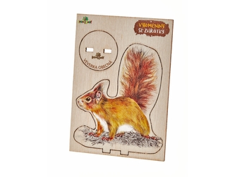Lesní svět Vylomeniny se zvířátky S veverka