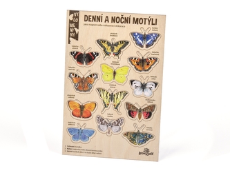 Lesní svět Velké vylomeniny - Noční a denní motýli