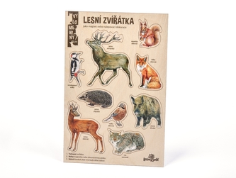 Lesní svět Velké vylomeniny - Lesní zvířata