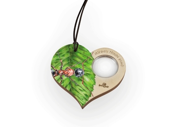 Lesní svět Lupa - Mravenec