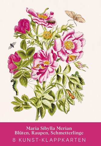 Maria Sibylla Merian - Acht Kunst-Klappkarten