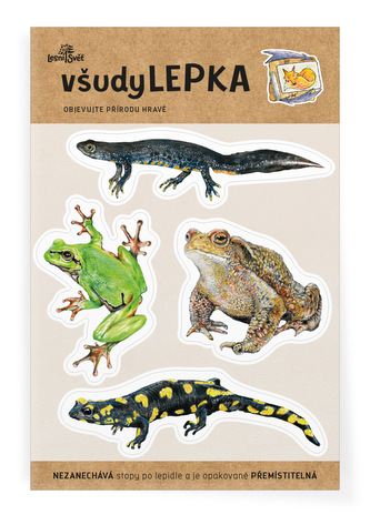 Lesní svět všudyLEPKA vel. 1 -041 - Obojživelníci