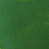 Akrylová barva Basics Fluid 118ml – 224 Hookers Green Permanent Hue