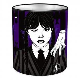 Pojemnik na przybory szkolne Wednesday