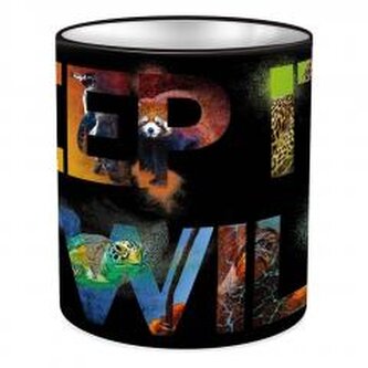 Pojemnik na przybory szkolne Animal Planet