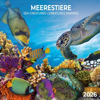 Meerestiere 2026