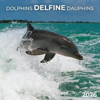 Delfine/Dolphins 2026