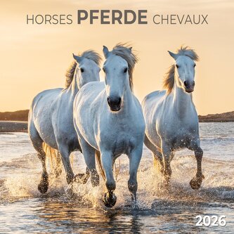 Pferde/Horses 2026
