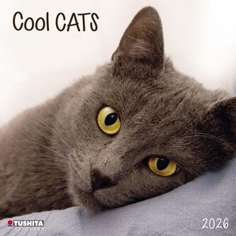 Cool Cats  2026