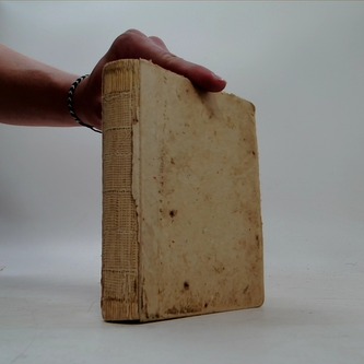 Děvče z přístavu