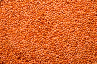 Čočka červená BIO 3 kg LES FRUITS DU PARADIS