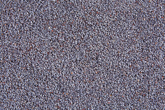 Mák modrý český 3 kg LES FRUITS DU PARADIS