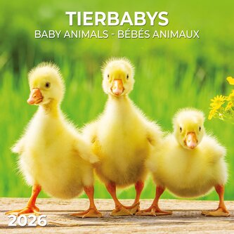 Tierbabys/Baby Animals  2026