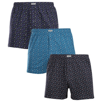 3PACK pánské trenky Andrie vícebarevné (PS 5601E) 3XL