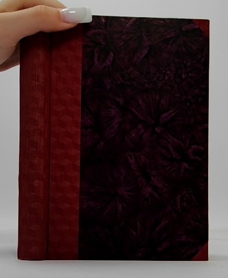 Spisy F. M. Dostojevského: Ponížení a uražení