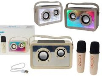 Zestaw 2 mikrofonów z głośnikiem