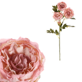 Pivoňka - umělá řezaná, květy s poupaty, růžovo-krémová
