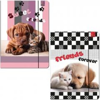 Teczka A4 z gumką Psy Koty mix