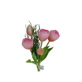 Tulipán svazek růžový, 5 ks  3021303-10