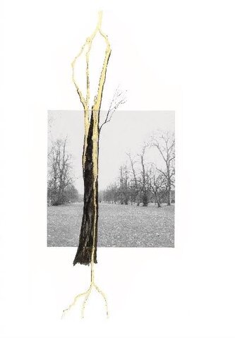 Giuseppe Penone. Thoughts in the Roots