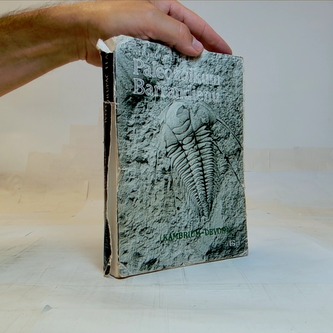 Paleozoikum Barrandienu