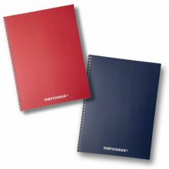 Kołonotatnik A4/80K kratka Swing Mono BG (3szt)