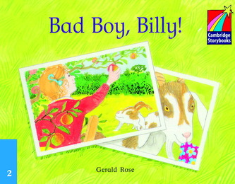 CS 2 Bad Boy Billy! OOP