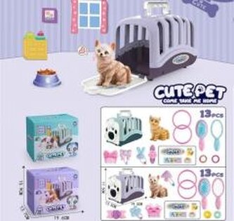 Pojemnik z kotem i akcesoriami