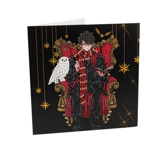Craft Buddy Crystal Art pohlednice - Harry Potter a Hedvika