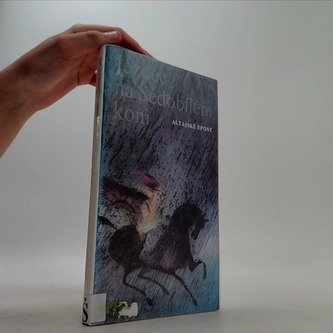 Jezdec na šedobílém koni