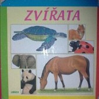 Zvířata